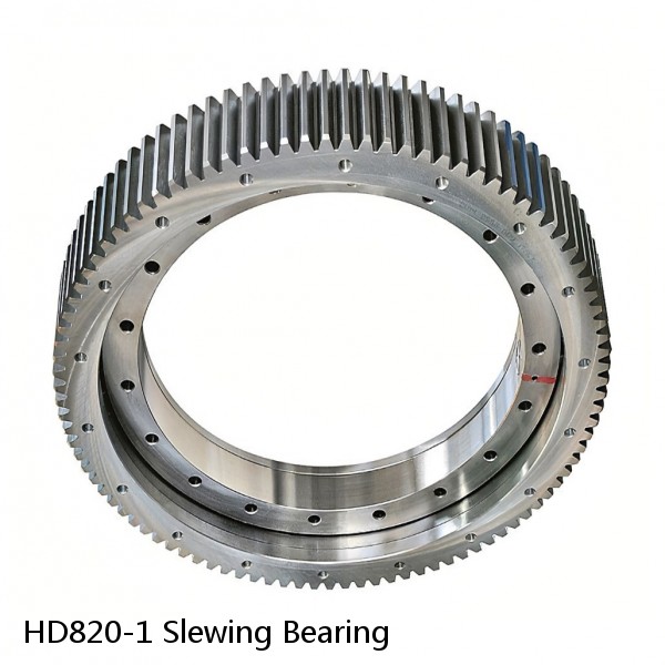 HD820-1 Slewing Bearing #1 image