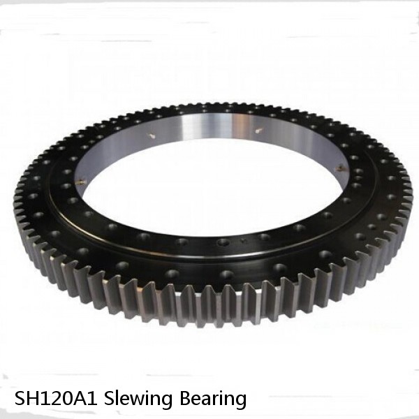 SH120A1 Slewing Bearing #1 image