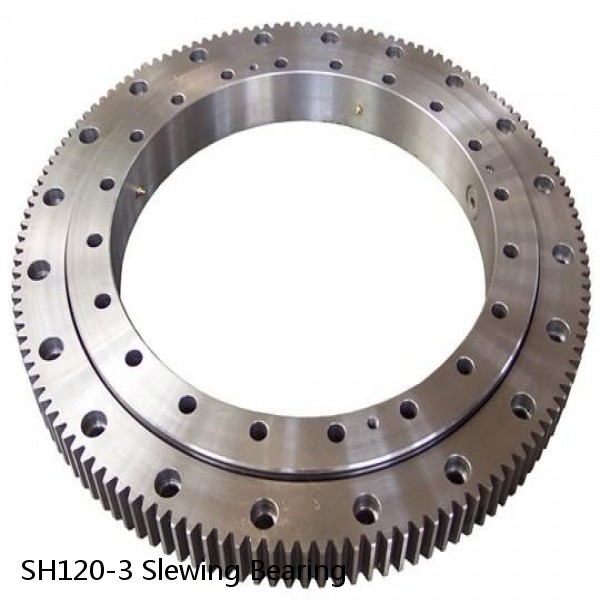 SH120-3 Slewing Bearing #1 image