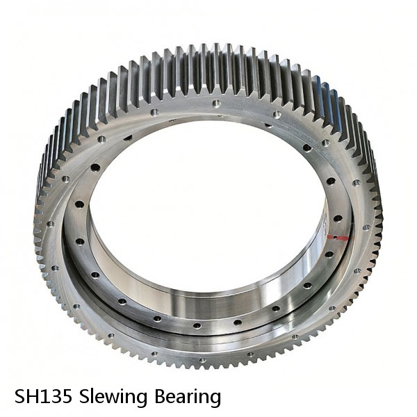 SH135 Slewing Bearing #1 image