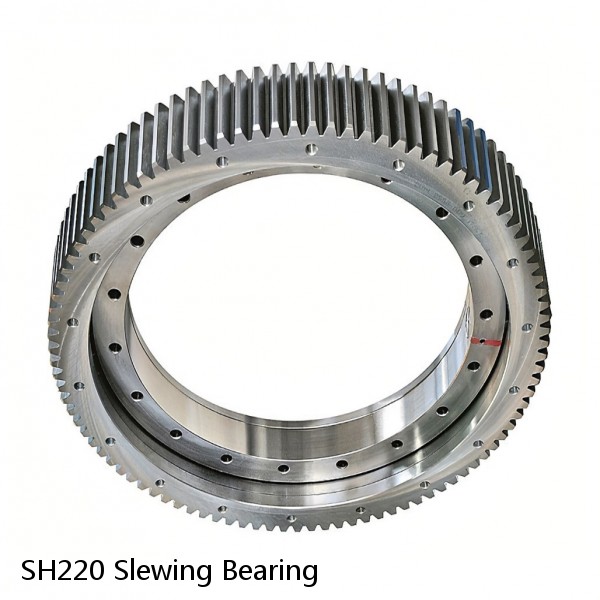 SH220 Slewing Bearing #1 image