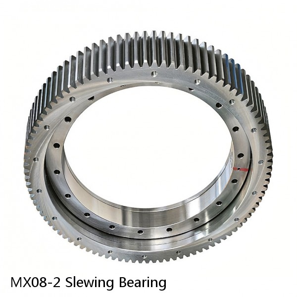 MX08-2 Slewing Bearing #1 image
