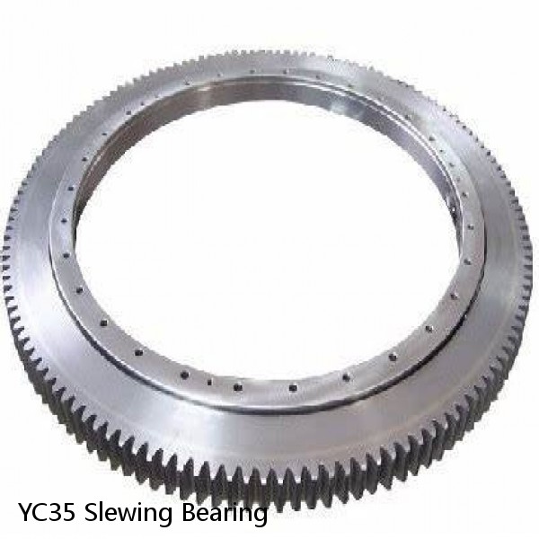 YC35 Slewing Bearing #1 image