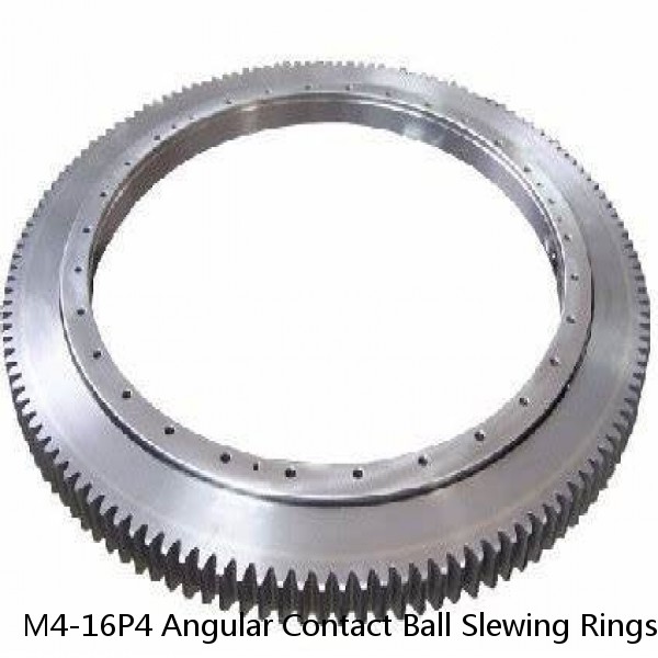 M4-16P4 Angular Contact Ball Slewing Rings #1 image