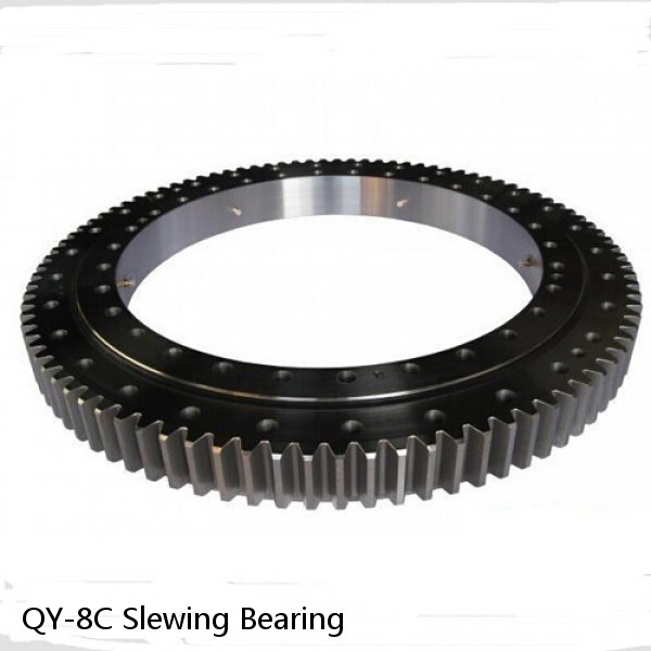 QY-8C Slewing Bearing #1 image
