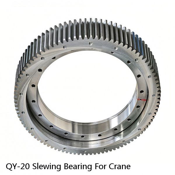 QY-20 Slewing Bearing For Crane #1 image